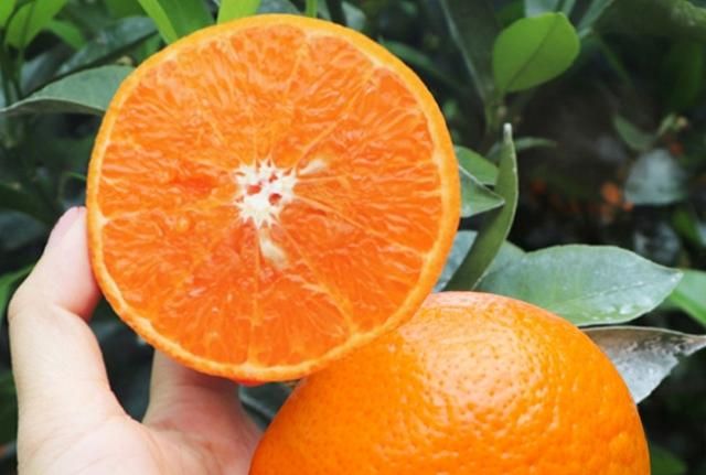 买橘子，哪个品种最好吃？这10个种类比较常见，看看你吃过哪个？