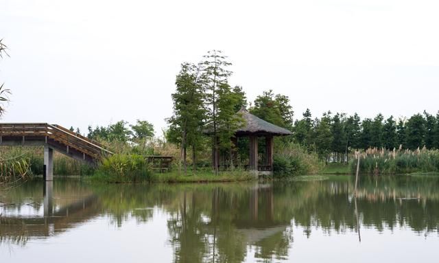 南京的后花园固城湖水慢城，不仅风景秀美，还有一座湿地动物园