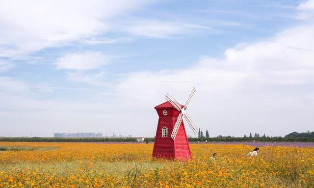 南京的后花园固城湖水慢城，不仅风景秀美，还有一座湿地动物园