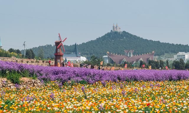 这才是5月最上镜的地方！玫瑰花包围下的童话小城，在济南开启玫瑰之旅，邂逅浪漫时光！