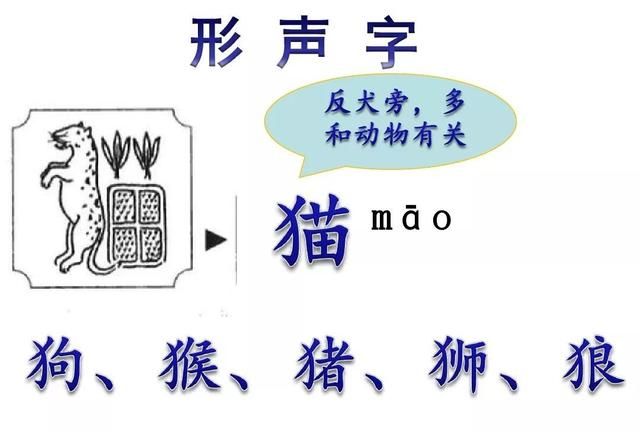 统编一年级语文上册识字7《大小多少》图文讲解+知识点+同步练习