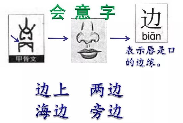 统编一年级语文上册识字7《大小多少》图文讲解+知识点+同步练习