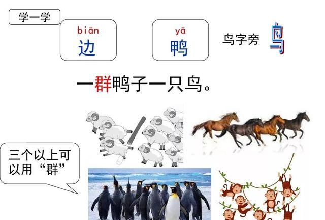 统编一年级语文上册识字7《大小多少》图文讲解+知识点+同步练习