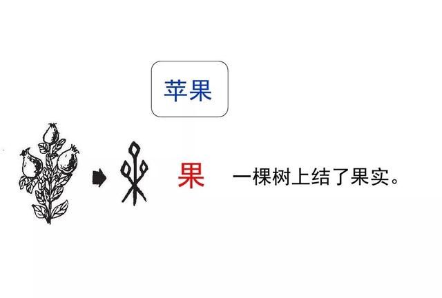 统编一年级语文上册识字7《大小多少》图文讲解+知识点+同步练习