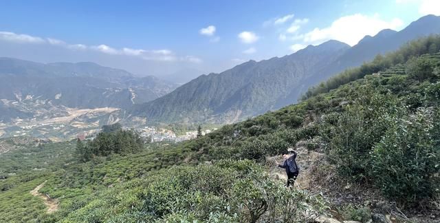 爬潮汕最高峰凤凰山，去喝一壶凤凰单丛茶