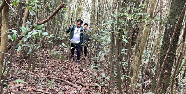 爬潮汕最高峰凤凰山，去喝一壶凤凰单丛茶