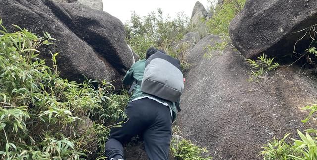 爬潮汕最高峰凤凰山，去喝一壶凤凰单丛茶