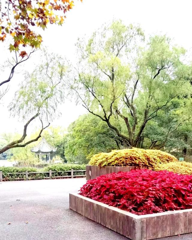 上海动物园，环境优美，动物品种繁多，开心游一天