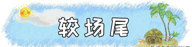 超全！深圳十区免费景点汇总来啦！别再说深圳没什么好玩的了