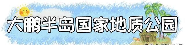 超全！深圳十区免费景点汇总来啦！别再说深圳没什么好玩的了