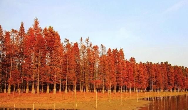 南京哪里适合摄影采风的地方(南京国家地理摄影展门票)图3