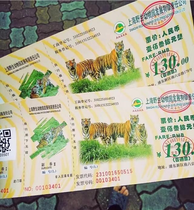上海野生动物园应该怎么玩,上海野生动物园怎样玩合理图4