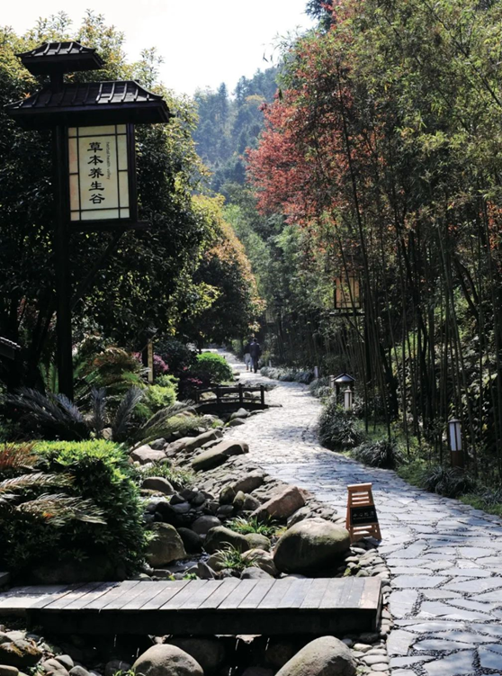 一山一水一湾泉，明月山天沐温泉，让有趣的灵魂不期而遇