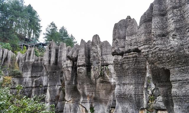 重庆周边最值得去的13个旅游景点，你都去过吗？（上篇）