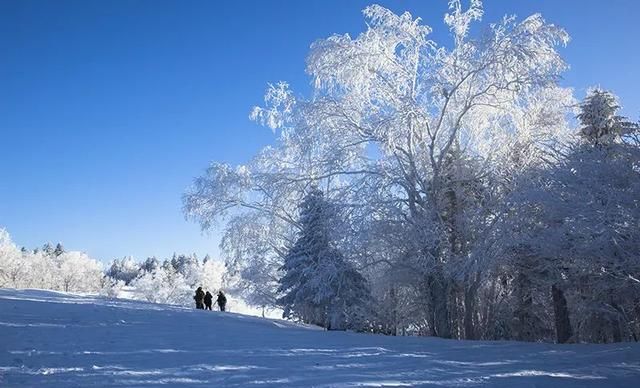吉地过年：新年的白山之旅，不能不爱的漂流赏雪线路