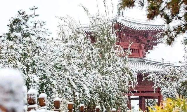 瑞雪虽未到，北京园博园已难掩这般冬日的美好~