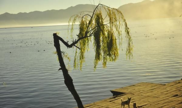 十一月的泸沽湖真的太美啦(泸沽湖 稻城 最佳游玩季节)图39