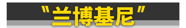 拳王泰森......从豪车无数，到一无所有