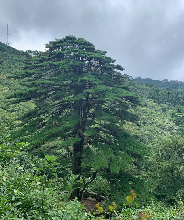 黄山二日游攻略住排云亭