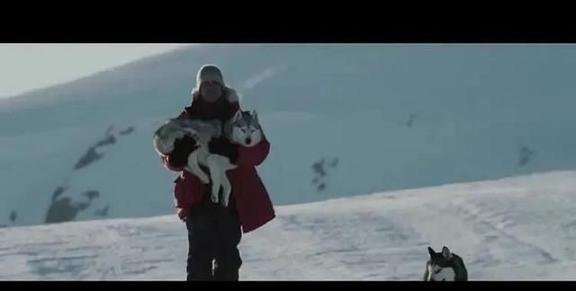《南极大冒险》真实故事改编，八只狗狗被遗弃在南极生存175天