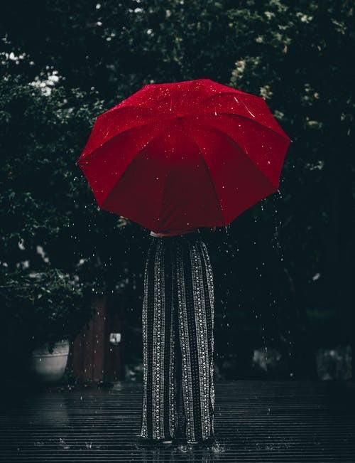 你知道伞的象征和寓意吗？