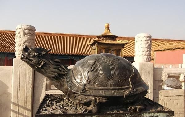 为什么古代乌龟驮石碑呢(为什么寺院有乌龟驮石碑)图2