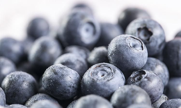 蓝莓有籽的好还是无籽的好,蓝莓籽培育的蓝莓苗结果吗图7