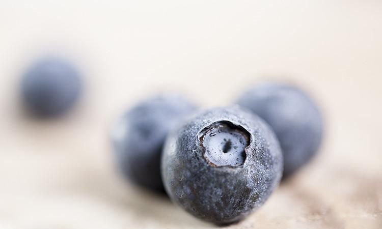 蓝莓有籽的好还是无籽的好,蓝莓籽培育的蓝莓苗结果吗图9