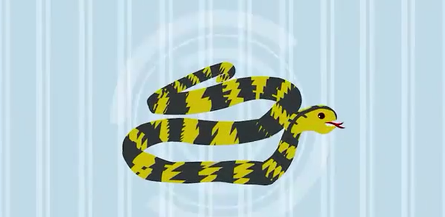 越传越神！蛇明明不怕雄黄，为何还传了上千年？遇到蛇到底咋办？
