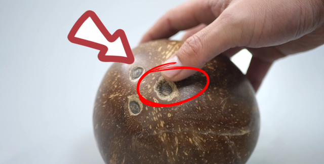 内行人开椰子取肉，只需要10秒，学会“3招办法”，轻松打开椰子