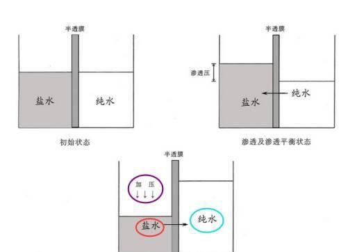 常喝净水器的水会营养不良？这是真的吗？