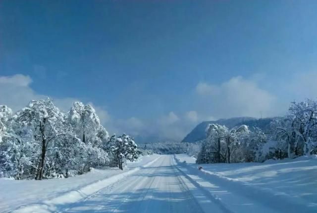 西岭雪山，我拍到了喜欢的路照(付攻略)