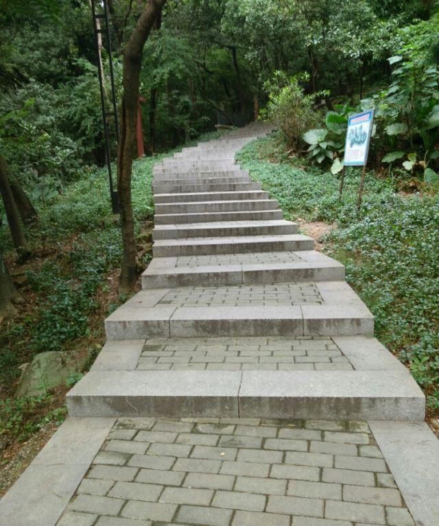 深圳新晋网红公园—铁仔山公园一期，深圳最大古墓群