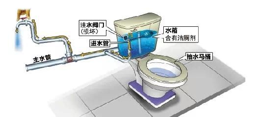 马桶放蓝色洁厕块的危害图3