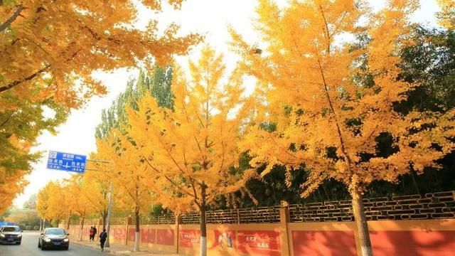 北京丰台区推荐世界花卉大观园、园博园等五个赏秋胜地