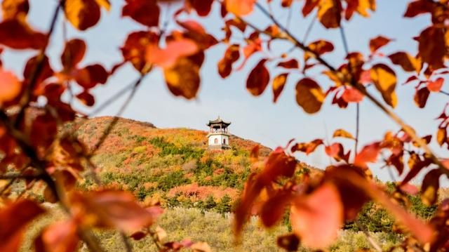 北京丰台区推荐世界花卉大观园、园博园等五个赏秋胜地