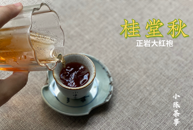 大红袍不是红茶，金骏眉不是乌龙茶，两种茶的区别，你真的懂吗？