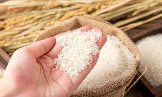 “糯米”和“大米”有啥区别？为什么糯米不能当主食而大米可以？
