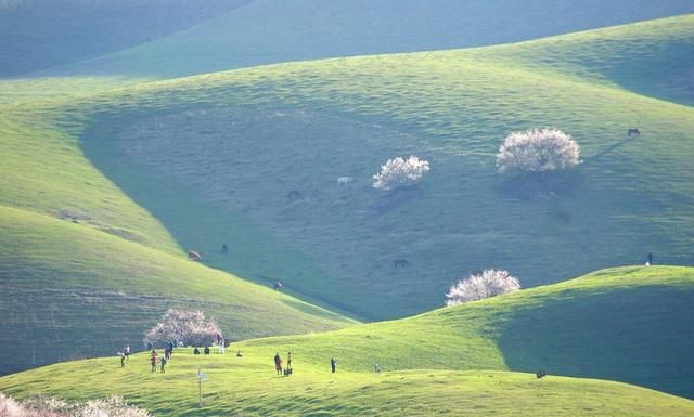 国内适合4月份出游的十大景点，这些地方一般人，我可不告诉ta哟