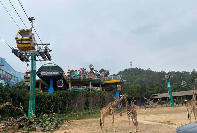 广州长隆旅游度假区➕市区游玩攻略