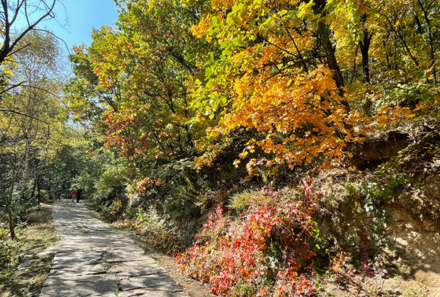 趁假期还有余额，去这4个地方来一场京郊短途旅行，即刻出发！