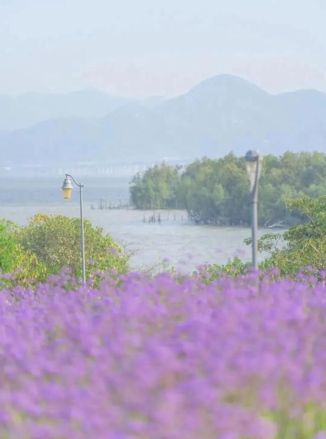 来深圳这10条海滨栈道，看海吧