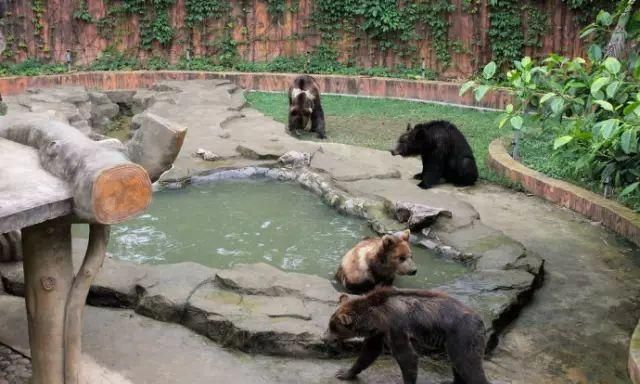门票低至25元！11月1日起，南宁动物园长达三个月门票优惠，外地游客可免费！