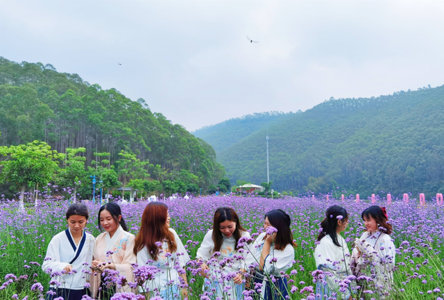 广州出发1天游，行摄清远紫色花海迷宫，打卡广州戈壁荒漠