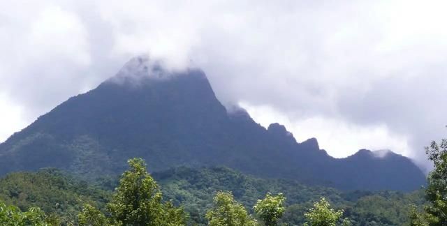 海南冬季旅游热门景点 五指山热带雨林旅游攻略 低音号导游