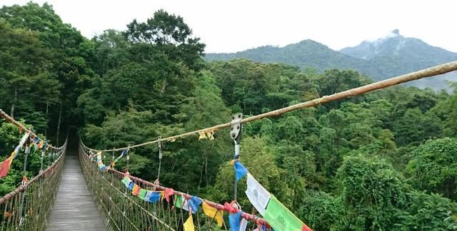 海南冬季旅游热门景点 五指山热带雨林旅游攻略 低音号导游