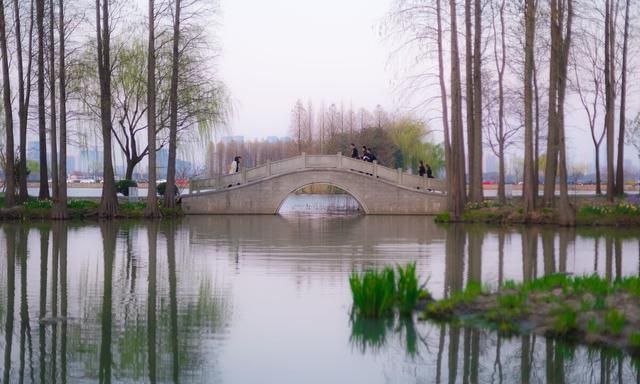 上海周边旅游打卡/无锡太湖鼋头渚风景区五一随记
