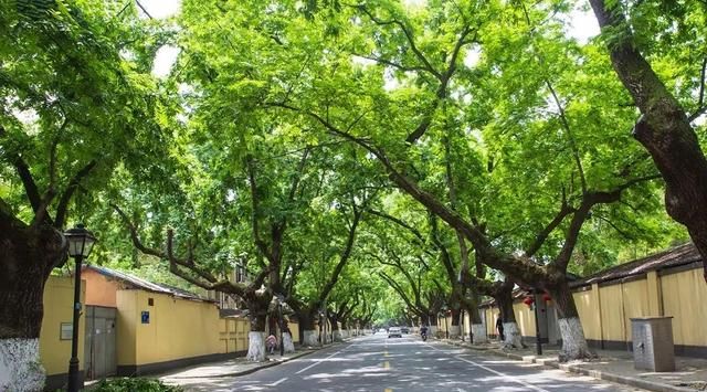 南京一百个免费景点，够你任性玩一年（上）