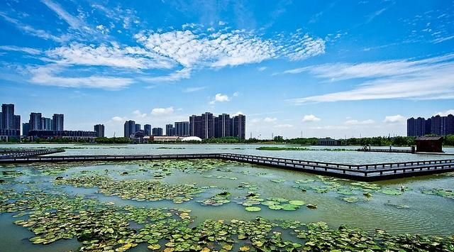 南京一百个免费景点，够你任性玩一年（上）