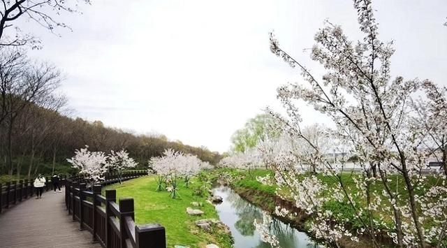 南京一百个免费景点，够你任性玩一年（上）